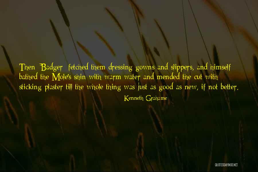 Kenneth Grahame Quotes 1051371