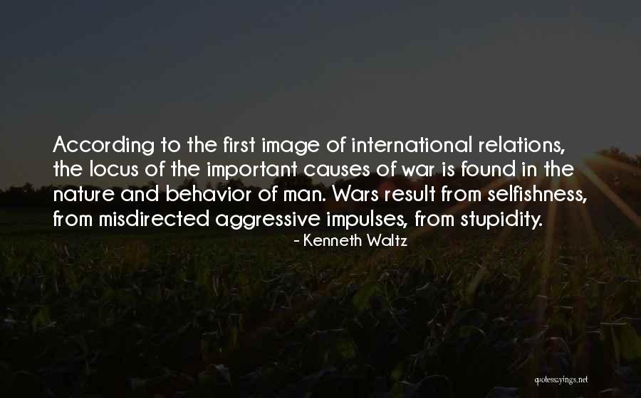 Kenneth Waltz Quotes 1743509