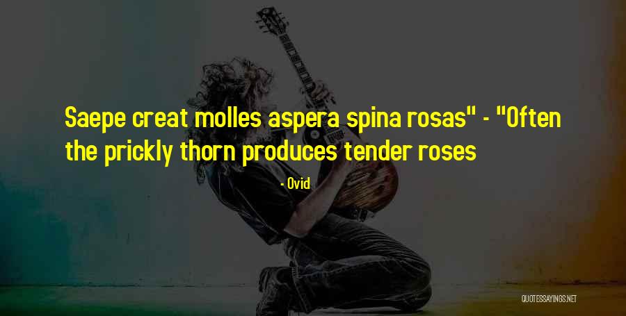 Kenshiro Anime Quotes By Ovid Kenshiro Anime Quotes By Ovid