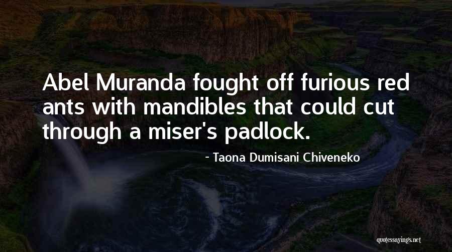 Kensinger Plane Quotes By Taona Dumisani Chiveneko Kensinger Plane Quotes By Taona Dumisani Chiveneko