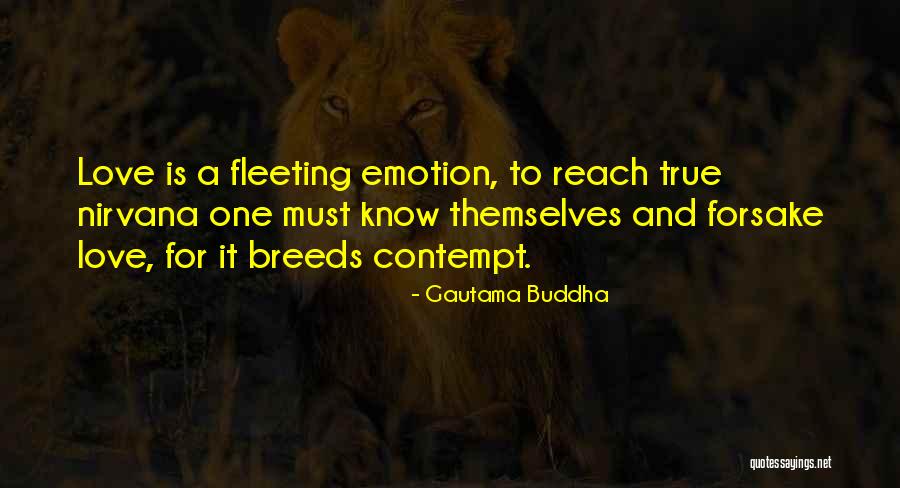 Kensite Quotes By Gautama Buddha Kensite Quotes By Gautama Buddha