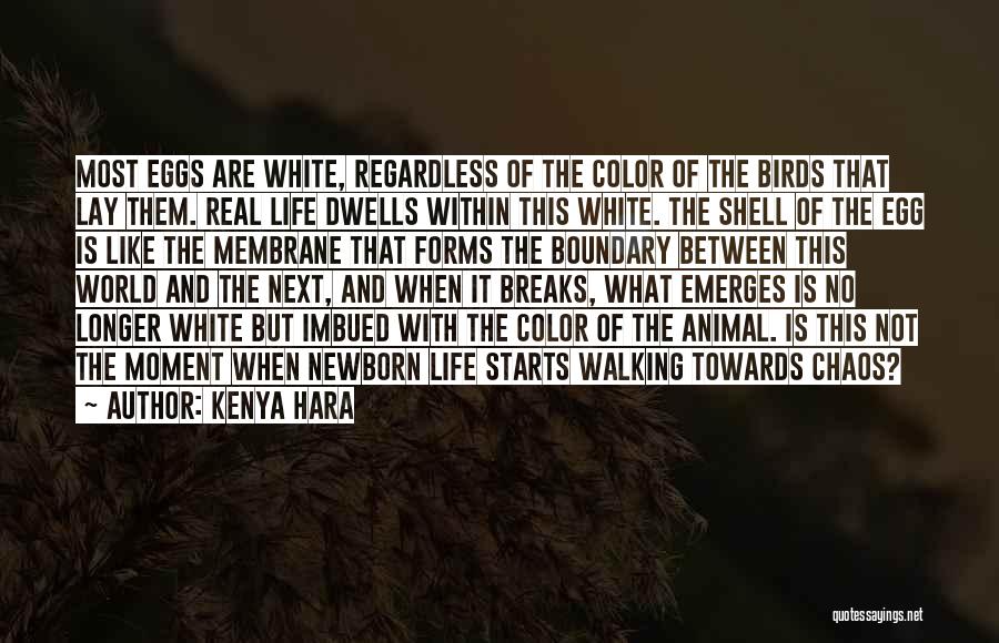 Kenya Hara Quotes 2013632