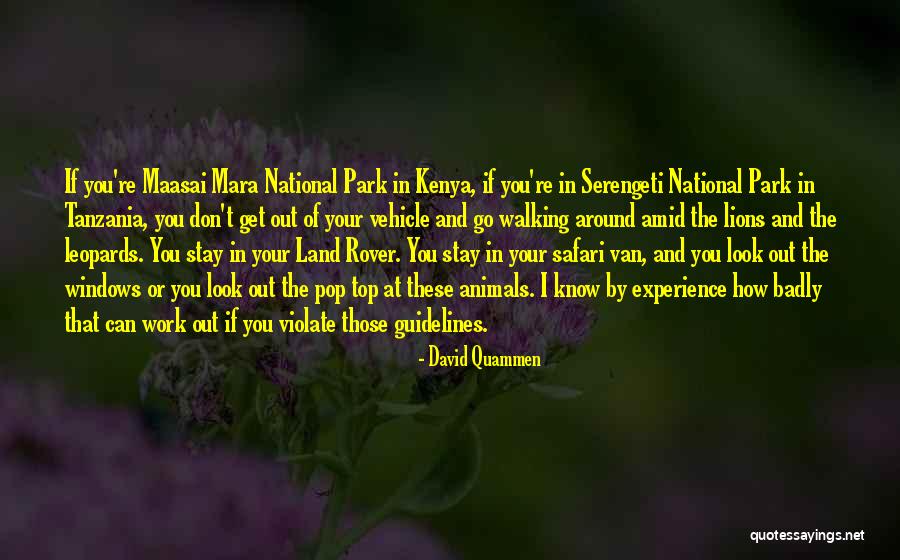 Kenya Quotes By David Quammen Kenya Quotes By David Quammen