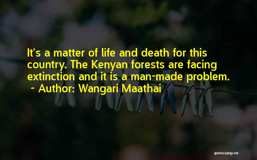 Kenyan Quotes By Wangari Maathai