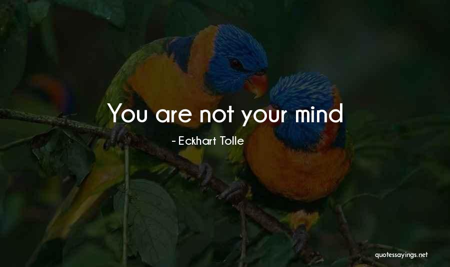 Kepercayaan Quotes By Eckhart Tolle Kepercayaan Quotes By Eckhart Tolle