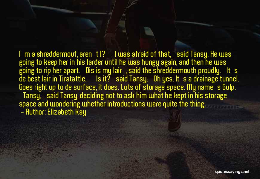 Kept Apart Quotes By Elizabeth Kay