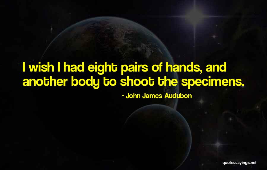 Kerekasztal Lovagjai Quotes By John James Audubon