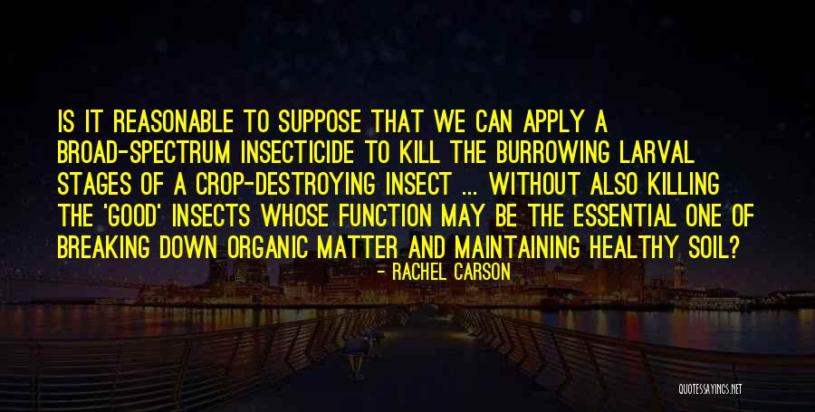 Keresey Baseball Quotes By Rachel Carson Keresey Baseball Quotes By Rachel Carson