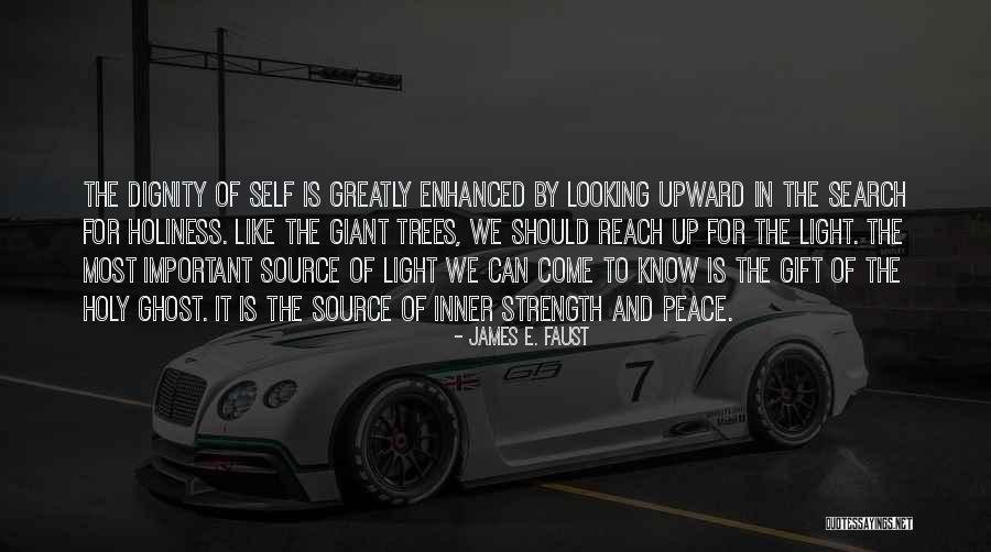 Kerigma Timisoara Quotes By James E. Faust Kerigma Timisoara Quotes By James E. Faust