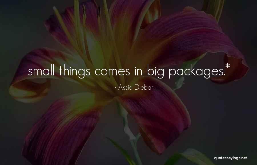 Kerkhofs Mazout Quotes By Assia Djebar Kerkhofs Mazout Quotes By Assia Djebar