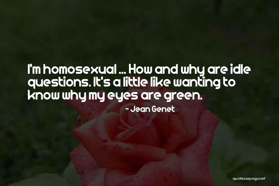Kermizian Airport Quotes By Jean Genet Kermizian Airport Quotes By Jean Genet