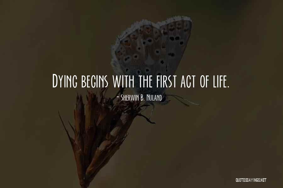 Keroka Quotes By Sherwin B. Nuland Keroka Quotes By Sherwin B. Nuland