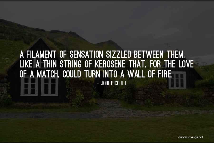 Kerosene Quotes By Jodi Picoult Kerosene Quotes By Jodi Picoult