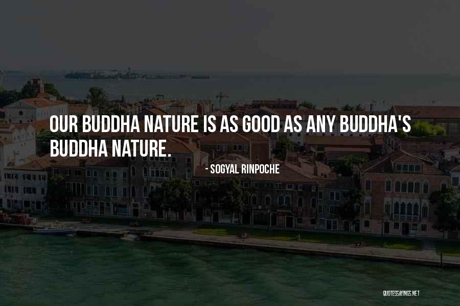 Kerri Ann Moss Quotes By Sogyal Rinpoche Kerri Ann Moss Quotes By Sogyal Rinpoche