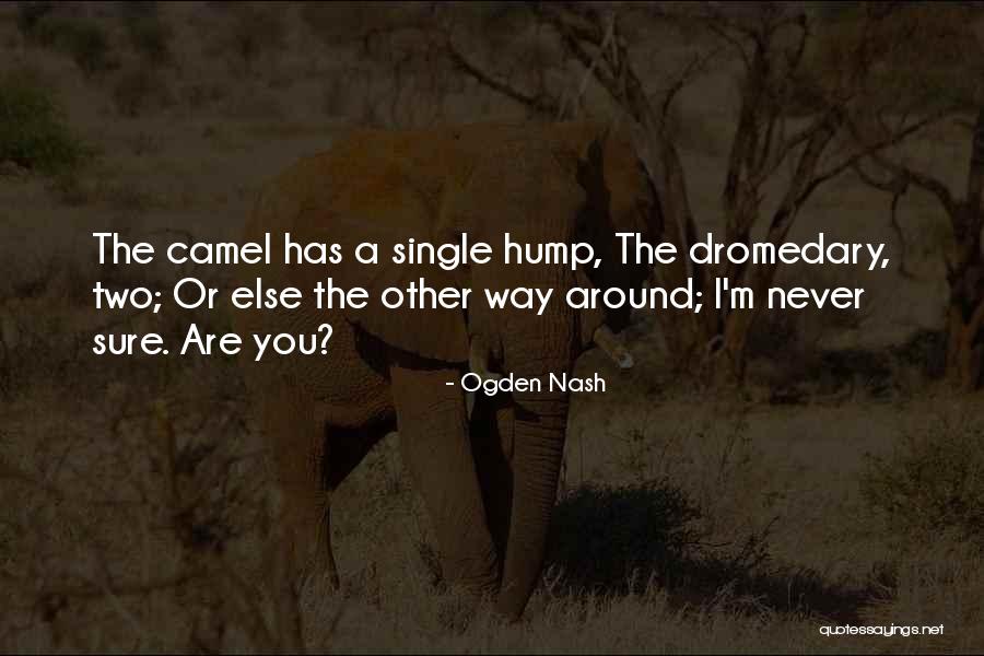 Kerrosrivinousu Quotes By Ogden Nash Kerrosrivinousu Quotes By Ogden Nash