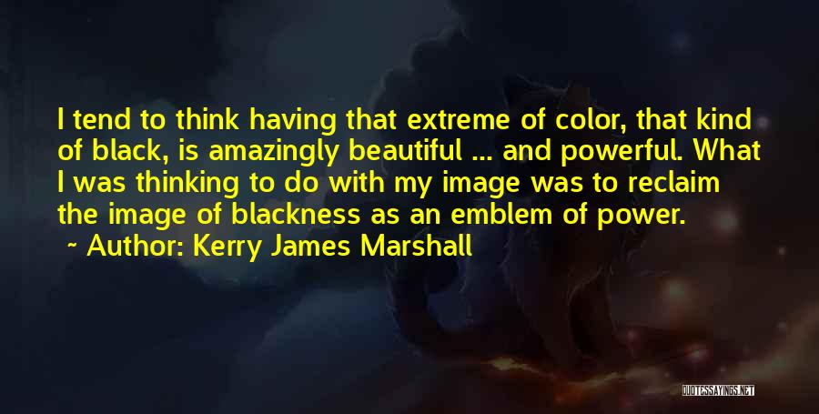Kerry James Marshall Quotes 1974364