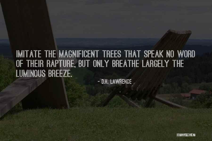 Kervel Gezond Quotes By D.H. Lawrence Kervel Gezond Quotes By D.H. Lawrence