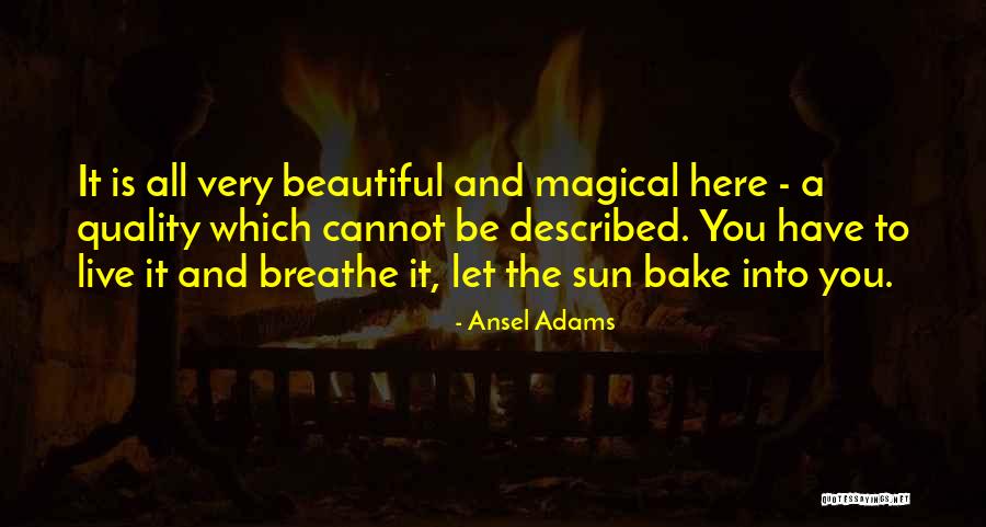 Kervella Cheese Quotes By Ansel Adams Kervella Cheese Quotes By Ansel Adams