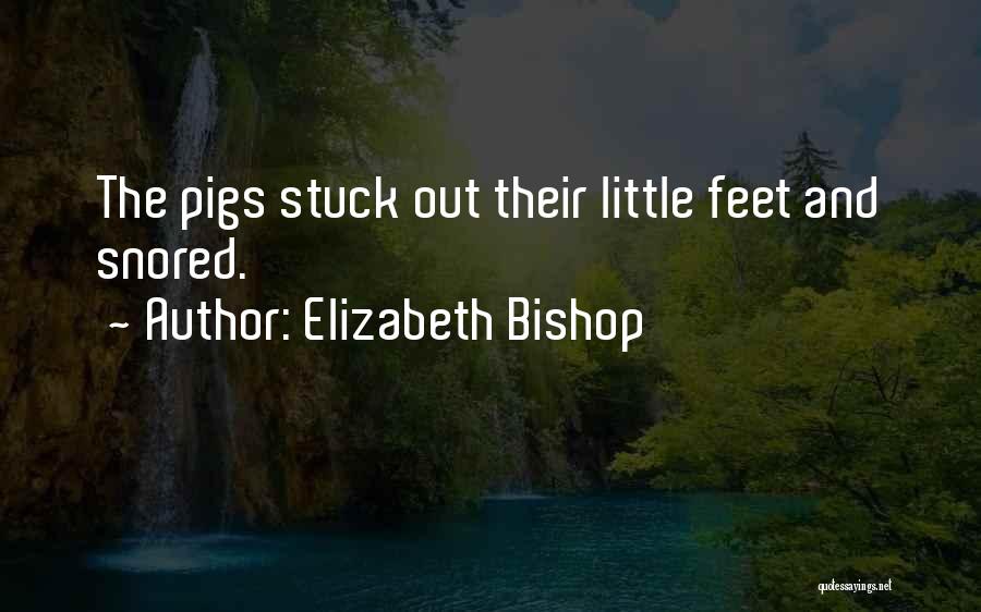 Kerzebis Quotes By Elizabeth Bishop
