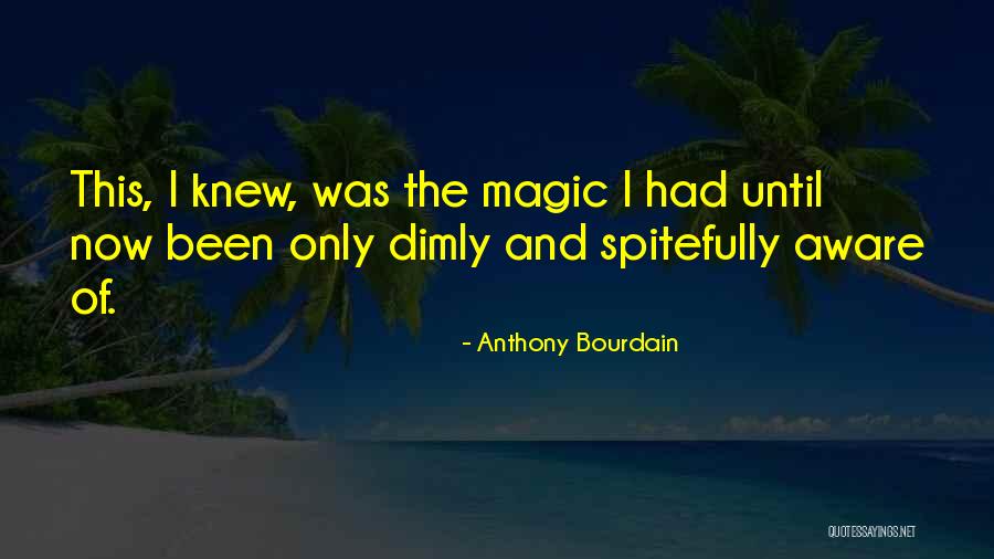 Kesabaran Funny Quotes By Anthony Bourdain