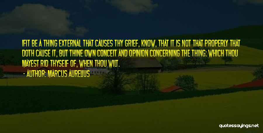 Kesarjanaan Fapet Quotes By Marcus Aurelius