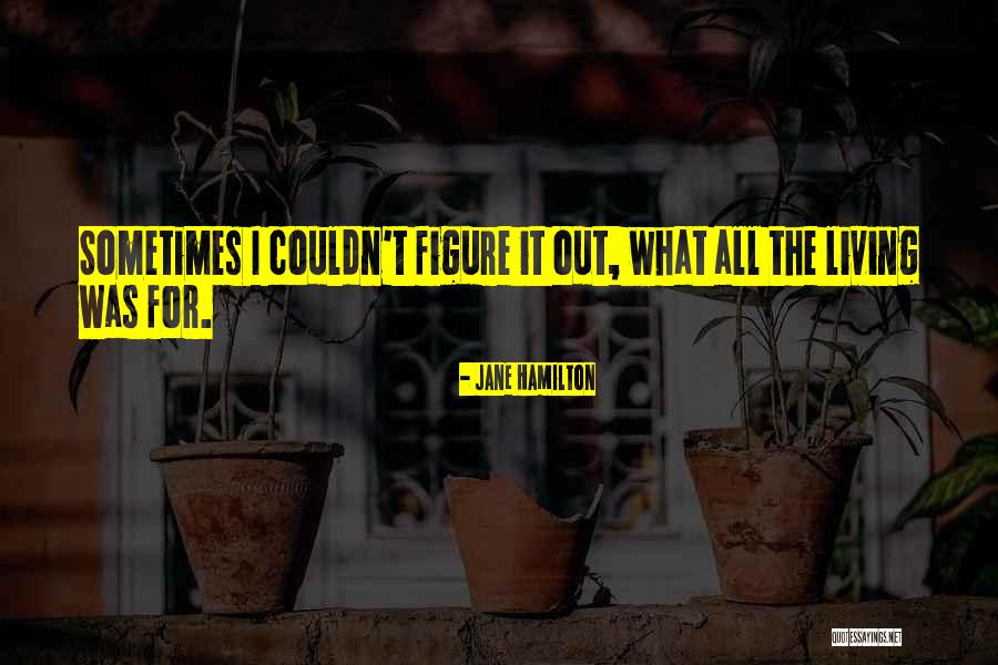 Kesedaran Tentang Quotes By Jane Hamilton