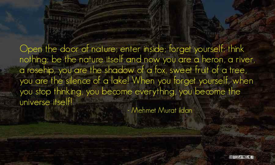 Kesesatan Berpikir Quotes By Mehmet Murat Ildan