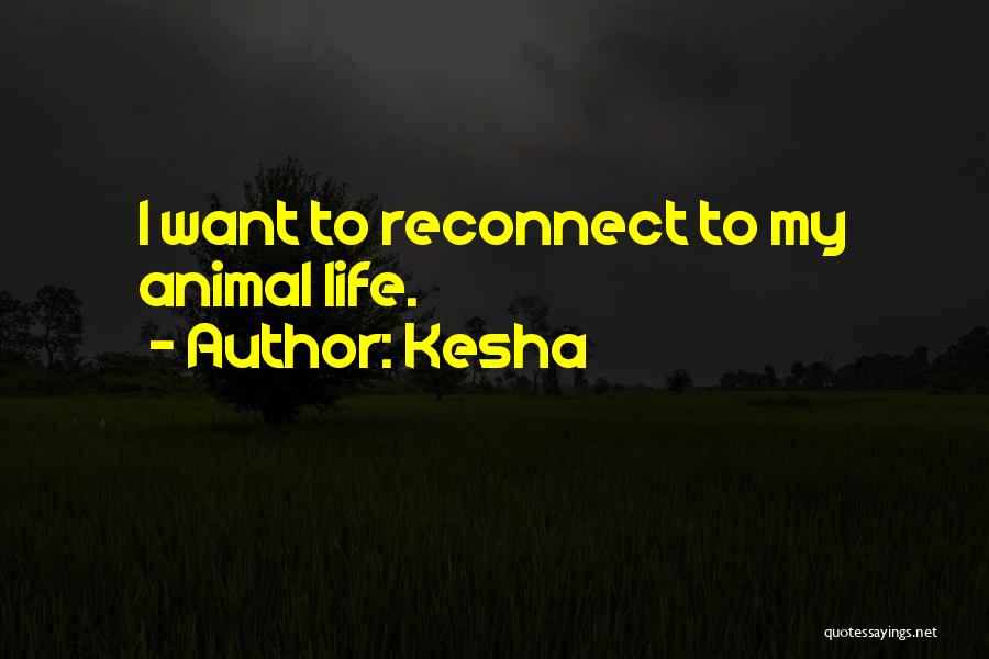 Kesha Quotes 2029146