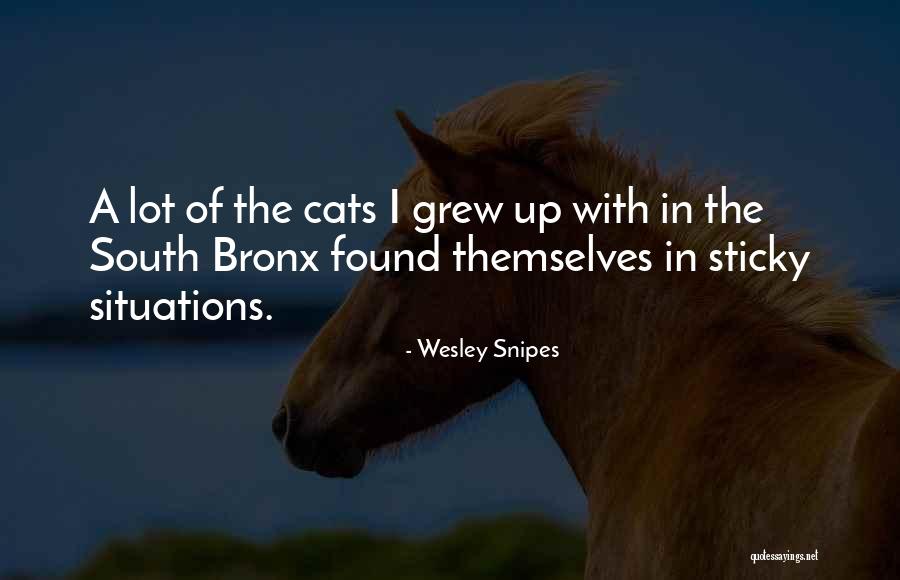 Kestrel Bikes Quotes By Wesley Snipes Kestrel Bikes Quotes By Wesley Snipes