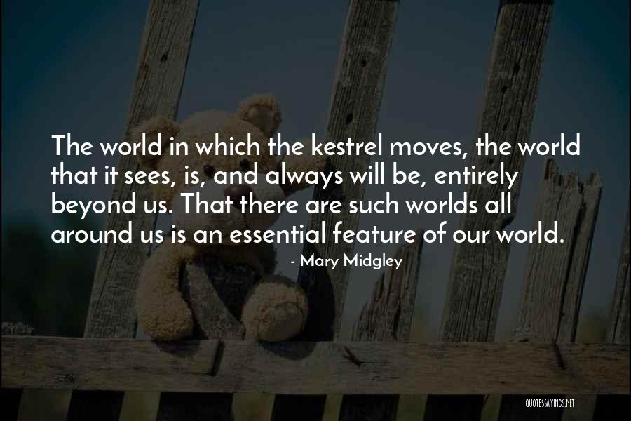 Kestrel Quotes By Mary Midgley Kestrel Quotes By Mary Midgley