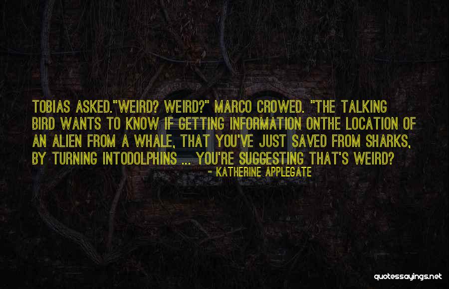 Ketchmark Chiropractic Quotes By Katherine Applegate Ketchmark Chiropractic Quotes By Katherine Applegate