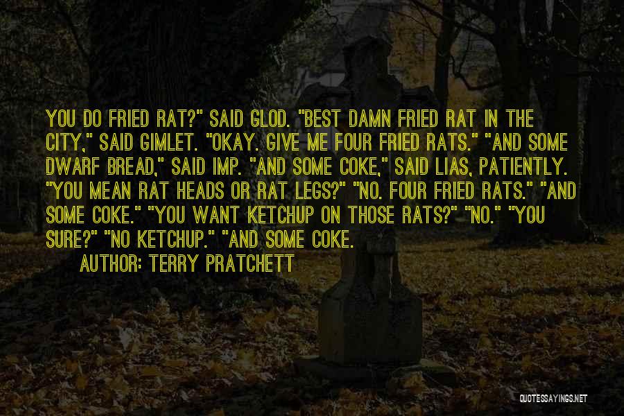 Ketchup Quotes By Terry Pratchett
