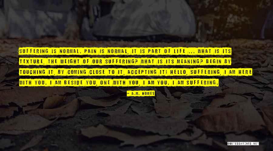 Ketenangan Dalam Quotes By A.M. Homes Ketenangan Dalam Quotes By A.M. Homes