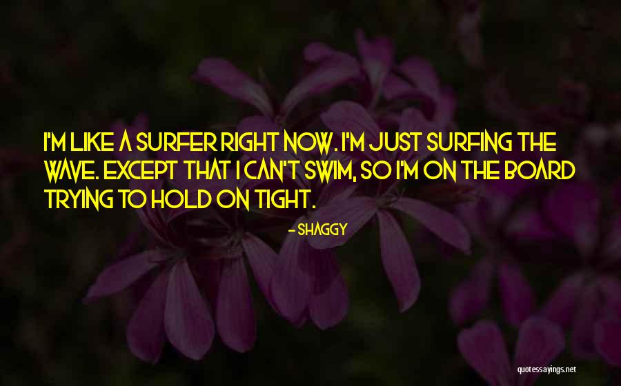 Ketertarikan Antar Quotes By Shaggy Ketertarikan Antar Quotes By Shaggy