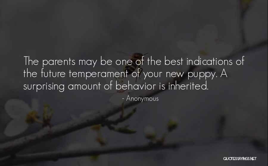 Ketevan Kemoklidze Quotes By Anonymous Ketevan Kemoklidze Quotes By Anonymous