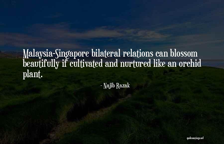 Ketkar Car Quotes By Najib Razak Ketkar Car Quotes By Najib Razak