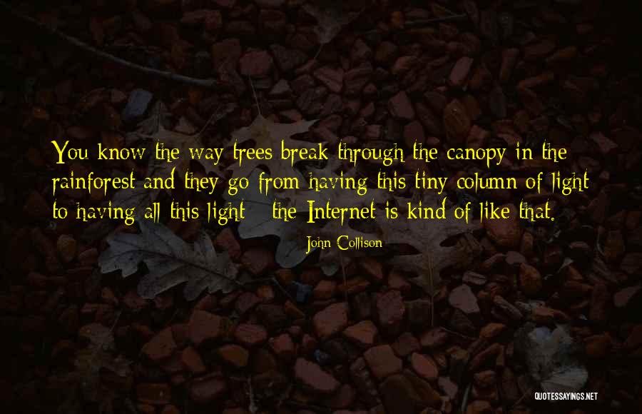 Ketones In Blood Quotes By John Collison Ketones In Blood Quotes By John Collison