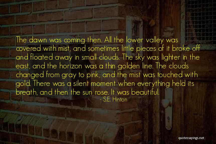Ketosis Breath Quotes By S.E. Hinton Ketosis Breath Quotes By S.E. Hinton