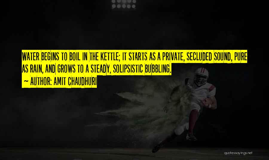 Kettle Quotes By Amit Chaudhuri