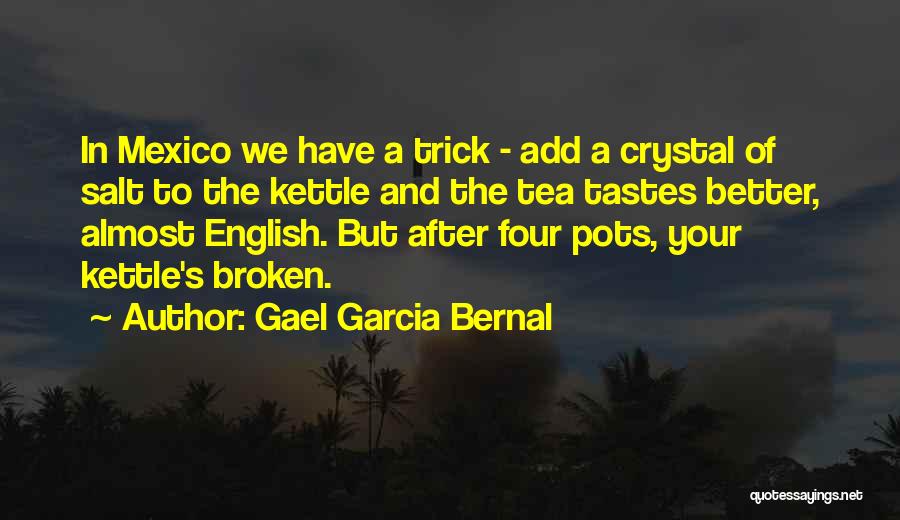 Kettle Quotes By Gael Garcia Bernal