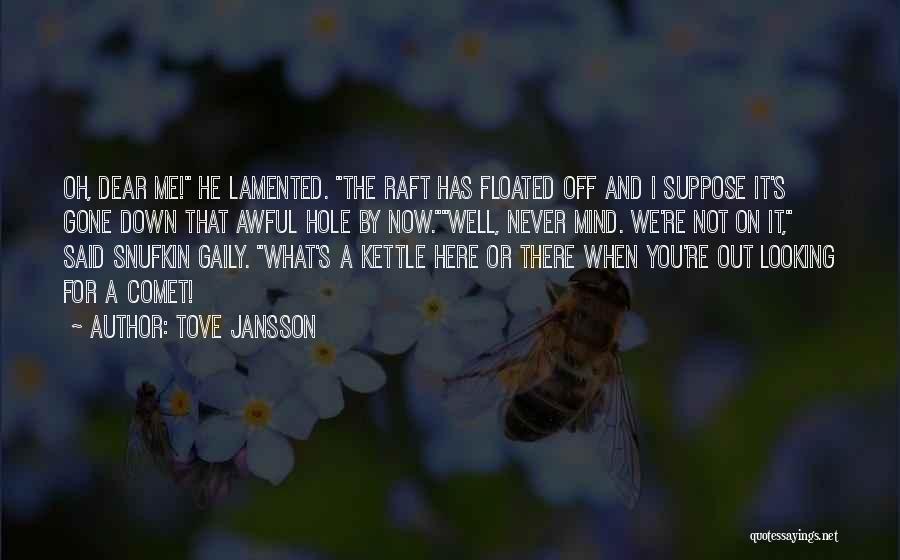 Kettle Quotes By Tove Jansson