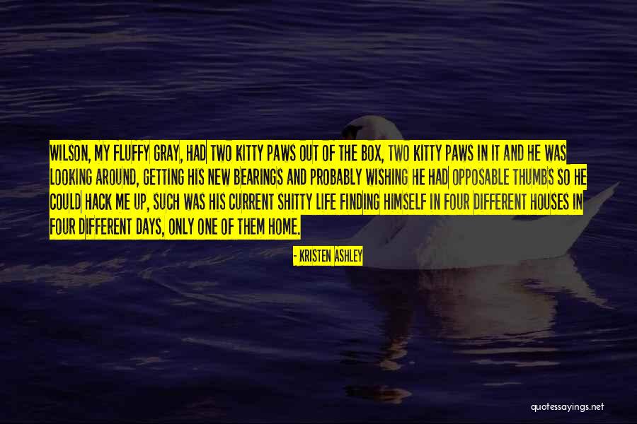 Keuzedagen Quotes By Kristen Ashley Keuzedagen Quotes By Kristen Ashley