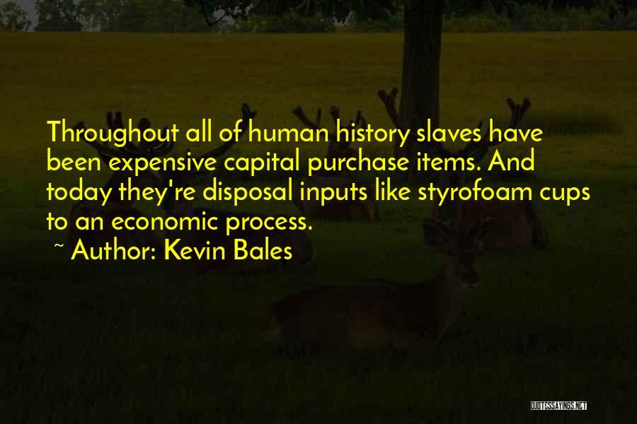 Kevin Bales Quotes 1241007