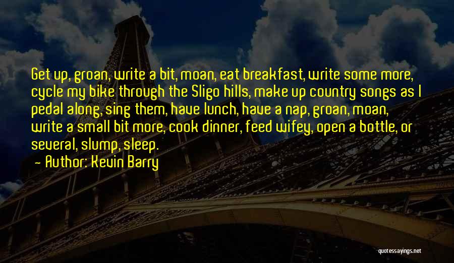 Kevin Barry Quotes 1473629