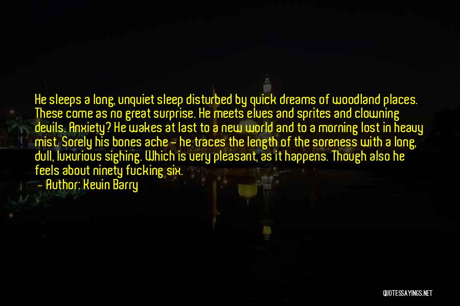 Kevin Barry Quotes 1488419