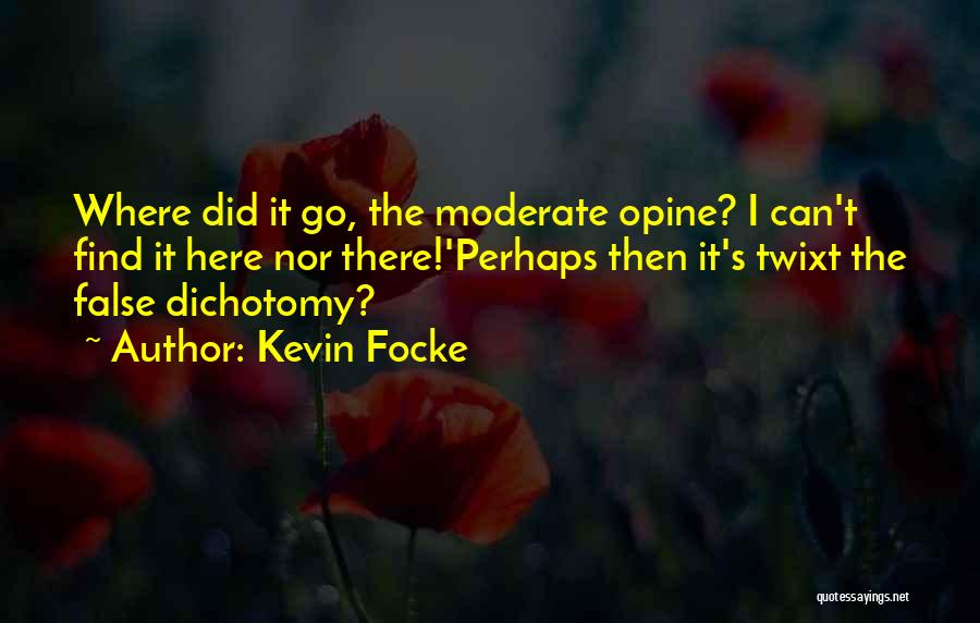 Kevin Focke Quotes 2115931