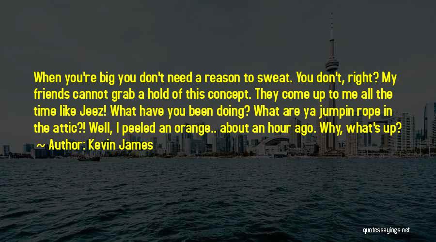 Kevin James Quotes 1676475