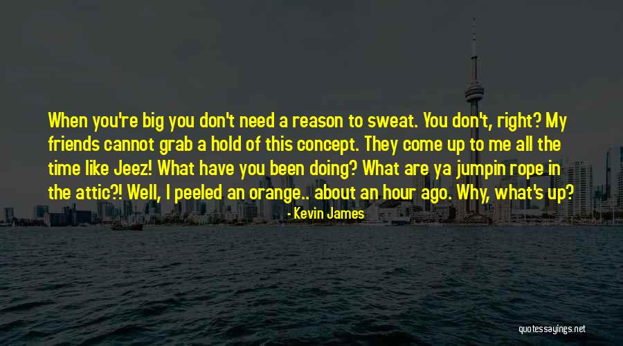 Kevin James Quotes 1676475