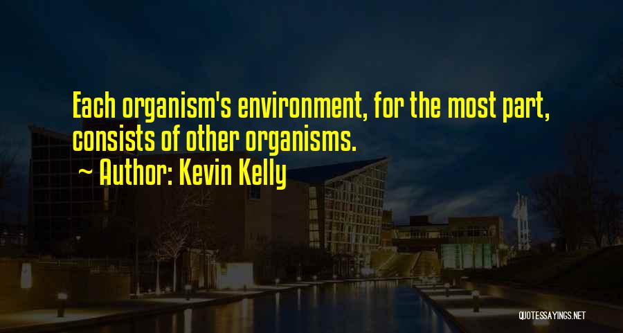 Kevin Kelly Quotes 175638
