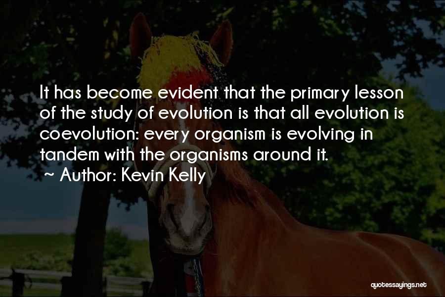 Kevin Kelly Quotes 731111